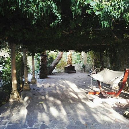 Cala Cavone Guest House Ponza Eksteriør billede